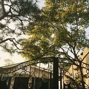 Cindy'S B&B Seoul Bed & Breakfast